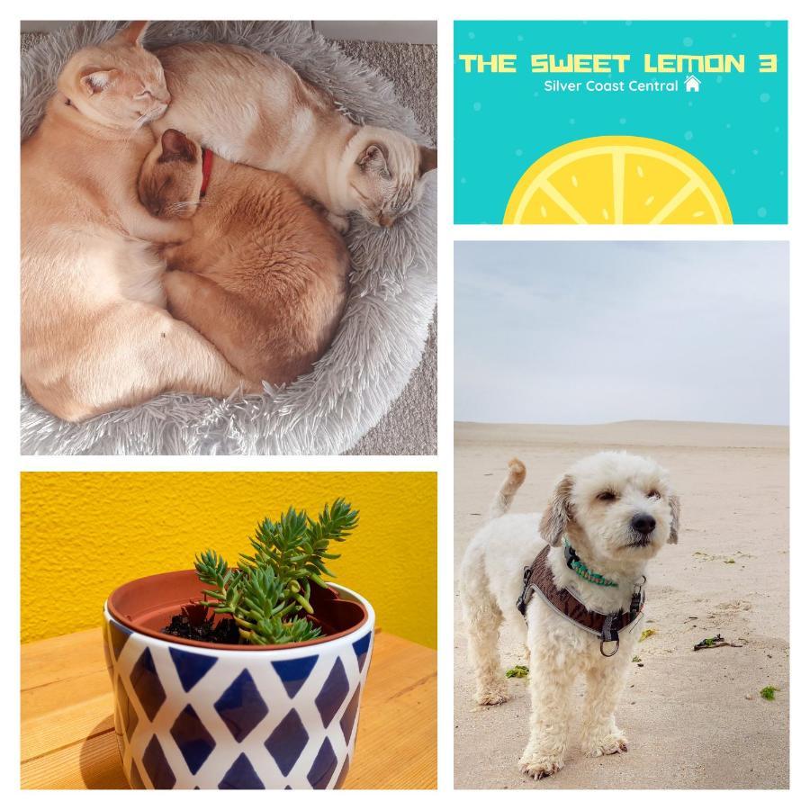 The Sweet Lemon 3 Bombarral Exterior foto
